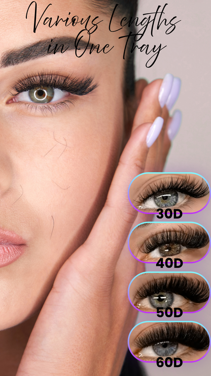 Aura Beauty SA™ Complete Eyelash Extension Kit 800pcs